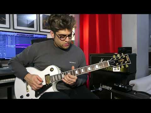 LES PAUL CUSTOM Tokai Love Rock vs Vintage V100