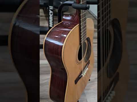 Giannini AWS-680 12 string Acoustic Guitar image 18