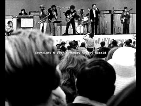 Born in Chicago - Monterey Pop Festival(1967)