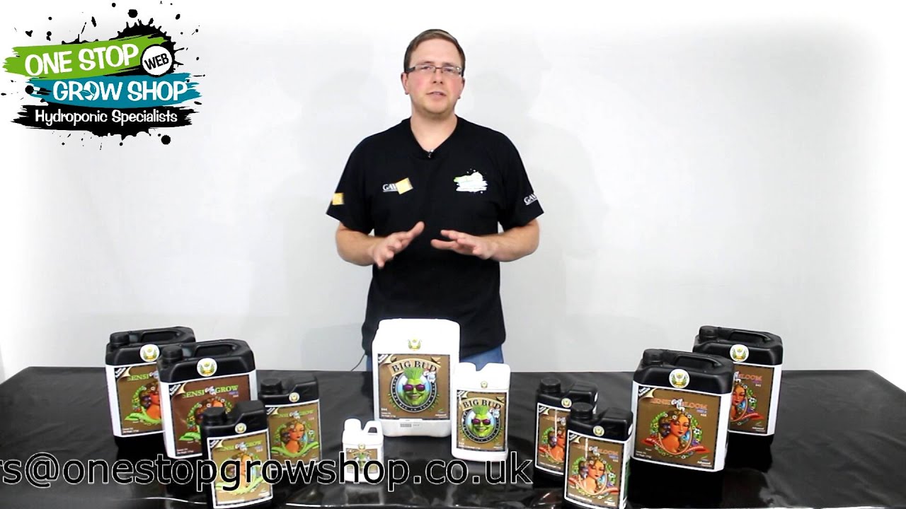 Advanced Nutrients Coco Coir Range (Big Bud and Sensi Coco)