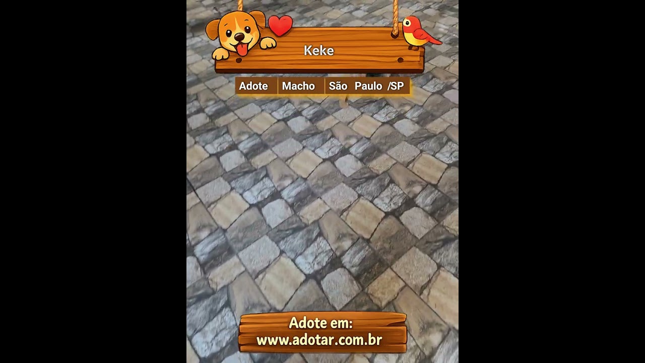 Cachorro raça SRD-ViraLata idade 2 a 6 meses nome Keke