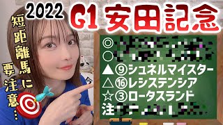 【安田記念 2022】さくまみおのまったり穴予想【競馬】