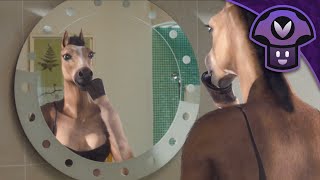 Vinny - The most visceral NO