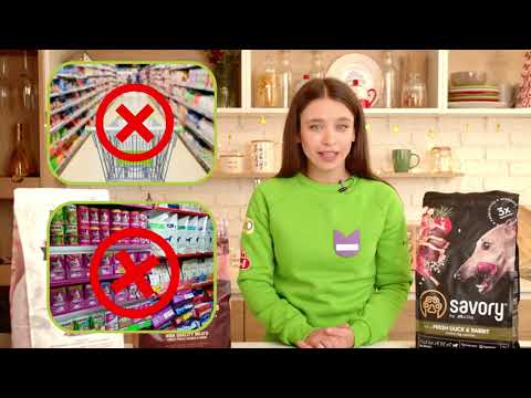 YouTube video preview