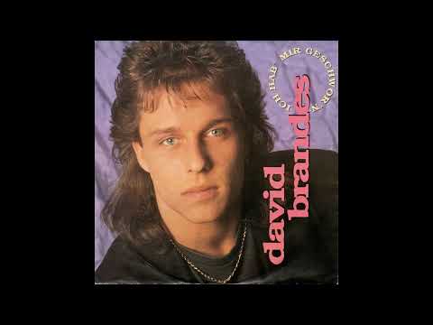 David Brandes - Wahnsinn