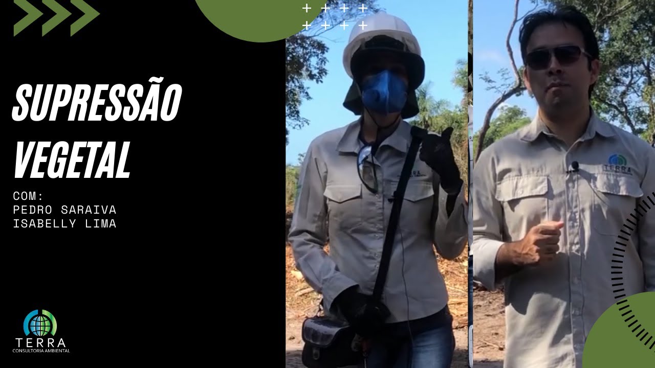 Supressão vegetal 🍃