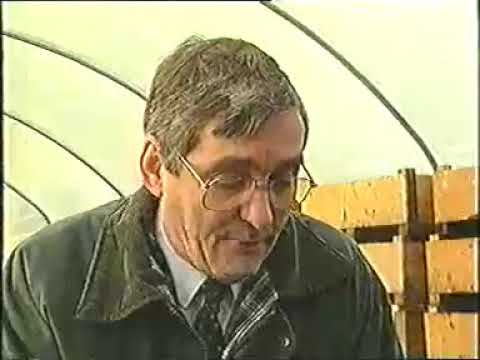 The Wormery on Six O Clock Live