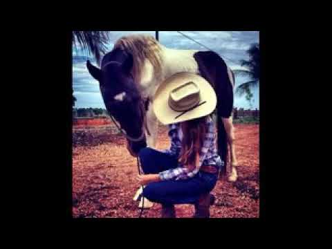 SERTANEJO ANTIGO APAIXONADO