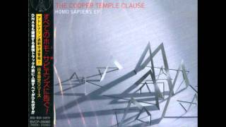 The Cooper Temple Clause - Talking to Pylons