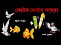 নোটন নোটন পায়রা বাংলা ছড়া Noton Noton Paira Bangali 