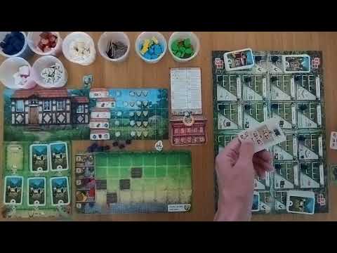 How to setup play and review