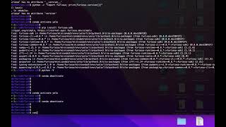 Furiosa Getting Started with SDK