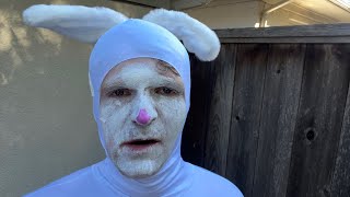 Cover art for That rabbit