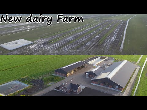 Building A 200 Cow Dairy Farm From Zero [] The Netherlands [] Mts. Buisman