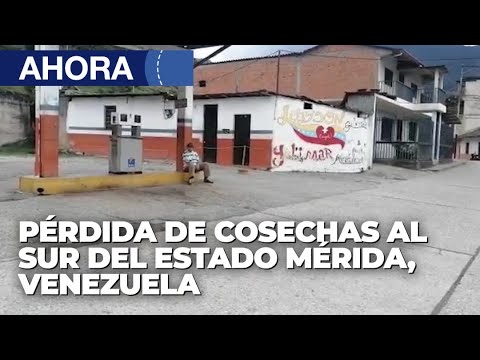 Pérdida de cosechas al sur del estado Mérida - 03Ene @VPItv