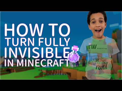 Kingsley's Games: CRAZY HACK to TURN INVISIBLE in Minecraft!!