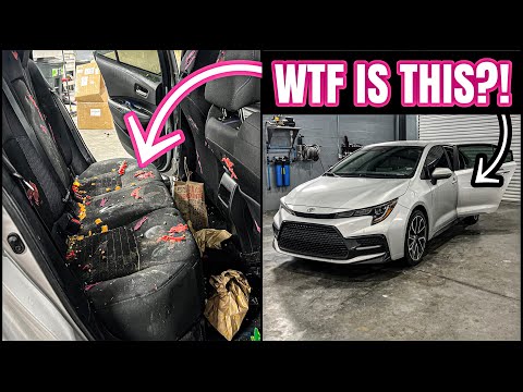 Thumbnail for Deep Cleaning The Nastiest Repo Toyota Ever! Satisfying Disaster Car Detailing Transformation! by Toyota, Toyota Corolla, Car, Vehicle