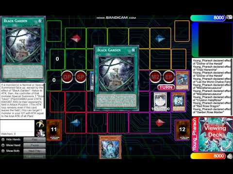 World Chalice Diviner w/ Misc (2 card combo) - Deep down the rabbit hole