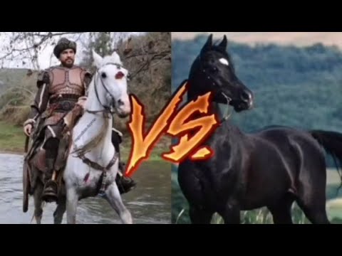 AKTOLGALI VS KARAYEL