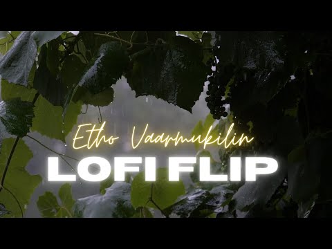 Etho Vaarmukilin Lofi Flip (Pookkaalam Varavai)