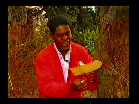 Pob's Programme - Tony Armatrading (puzzle + fragment of Bob & Bobby)