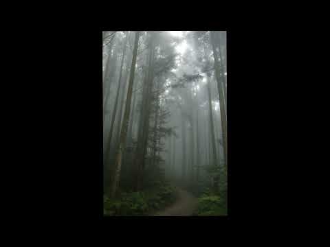 [FREE] irko + realo type beat - "graphite" (p. 6min)