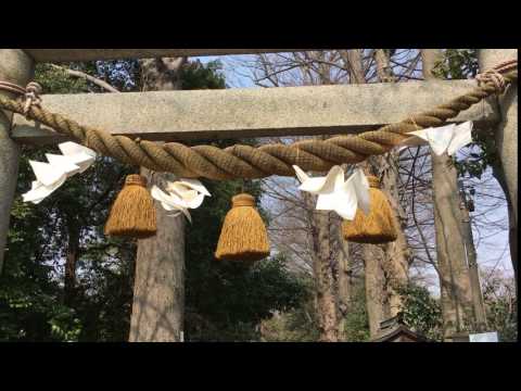 Shide blowing in the wind