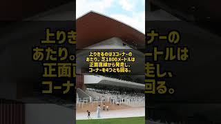 なぜ函館は直線262.1mに向けて下るのか 高低差3.5mは向正面に #Shorts