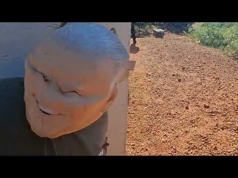 Protect the president bodycam gameplay at valknut airsoft.