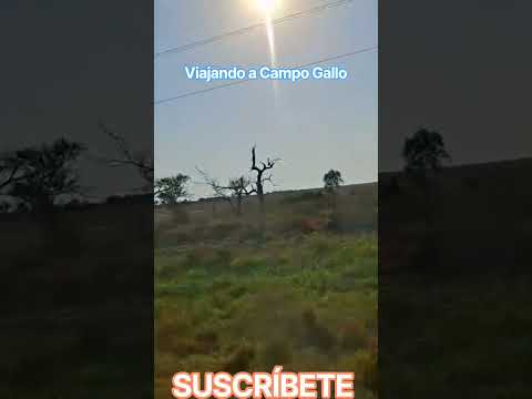 #DreamTrackAI Aquí va mi chacarera!!#viajar #santiagodelestero #campogallo