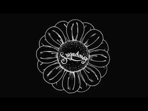 LIVE: Apple of My Eye, Sugadaisy