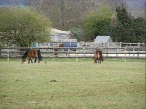 Thumbnail for There's More To Life video