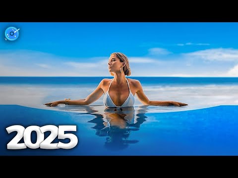 Alan Walker, Dua Lipa, Coldplay, Martin Garrix & Kygo, The Chainsmokers Style 🔥 Summer Vibes #2