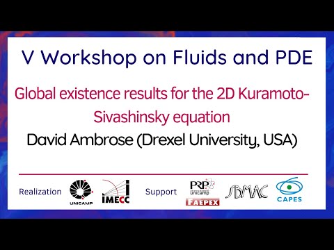 V Workshop on Fluids and PDE - September 20th, 2021 - David Ambrose