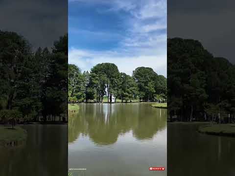 🌿 Parque São José dos Pinhais | Natureza e Tranquilidade no Paraná 🇧🇷