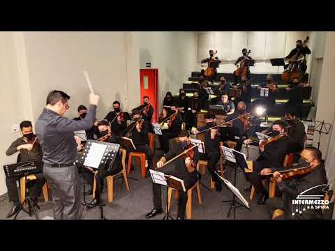 Hino - 467 “Vamos com Jesus” | Órgão TOKAI D-2 @Gabriel_Sanches | Orquestra ZSSP
