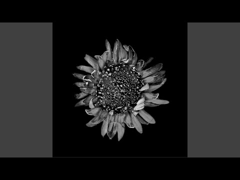 Video thumbnail for No Stars Over Bethlehem