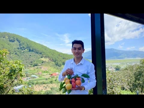 Đất nghỉ dưỡng ven Đà Lạt 508m2, sổ sẵn , quy hoạch thổ cư giá 720 triệu