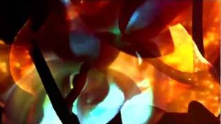 GIRL TALK - ALL DAY (MUSIC VIDEO) PART 12.5 - "Every Day"