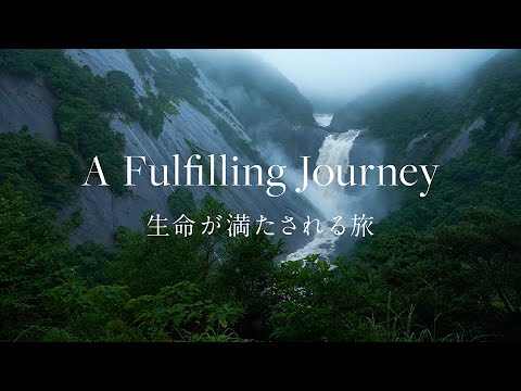 【屋久島】Rainy Days : 雨の屋久島を満喫 - A Fulfilling Journey 生命が満たされる旅