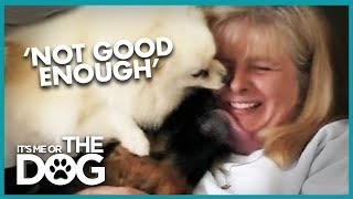 How to Get Your Dogs Off the Couch | It's Me or the Dog