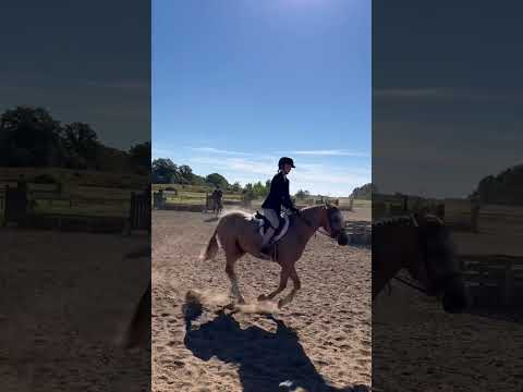 Golden Dream PF video 1