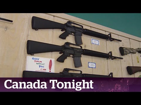 Bill C-21 is an 'emotion-based legislation,' says firearm advocate
