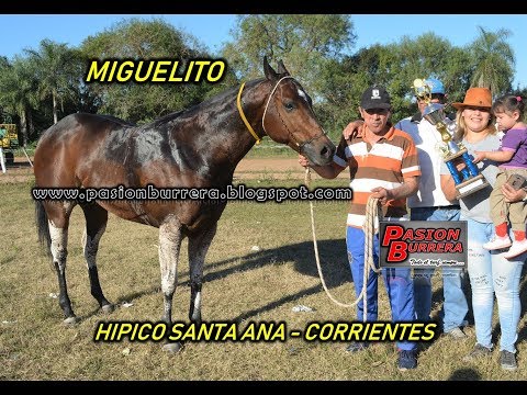 Miguelito, Santa Ana (20-06-18)