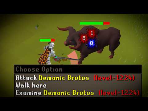 Cow Boss Situation is Crazy