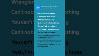 Old Town Road (Remix) - Lil Nas X, Billy Ray Cyrus (Lyrics)