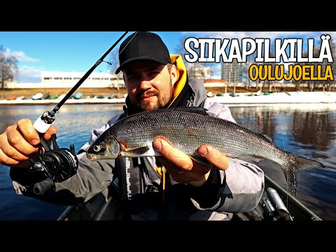 SIIKAPILKILLÄ JOKISUVANNOSSA - SCANDINAVIAN TACKLE QUADSTIK VAPA - GHOST REEL GT PILKKIKELA