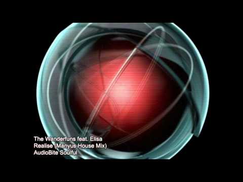 The Wanderfuns feat. Elisa - Realise (Manyus House Mix)