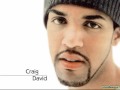 craig david one last dance with you