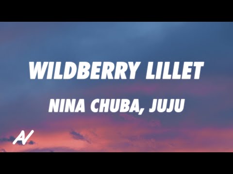 Nina Chuba, Juju - Wildberry Lillet REMIX (Lyrics)